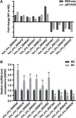 Comparative Analysis of Differentially Expressed Circular RNAs in Polarized Macrophages